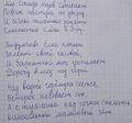 СолСтадо.jpg