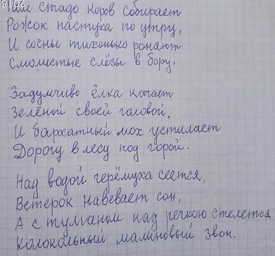 СолСтадо.jpg