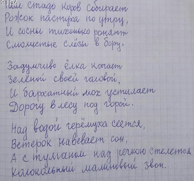 Файл:СолСтадо.jpg