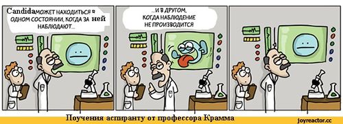 Крамм Трам.jpg