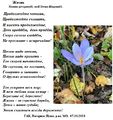 Миниатюра для версии от 22:36, 13 октября 2018