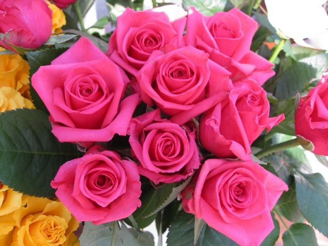 Foto-ramo-de-rosas-9.jpg