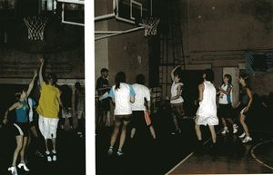 Img019.jpg